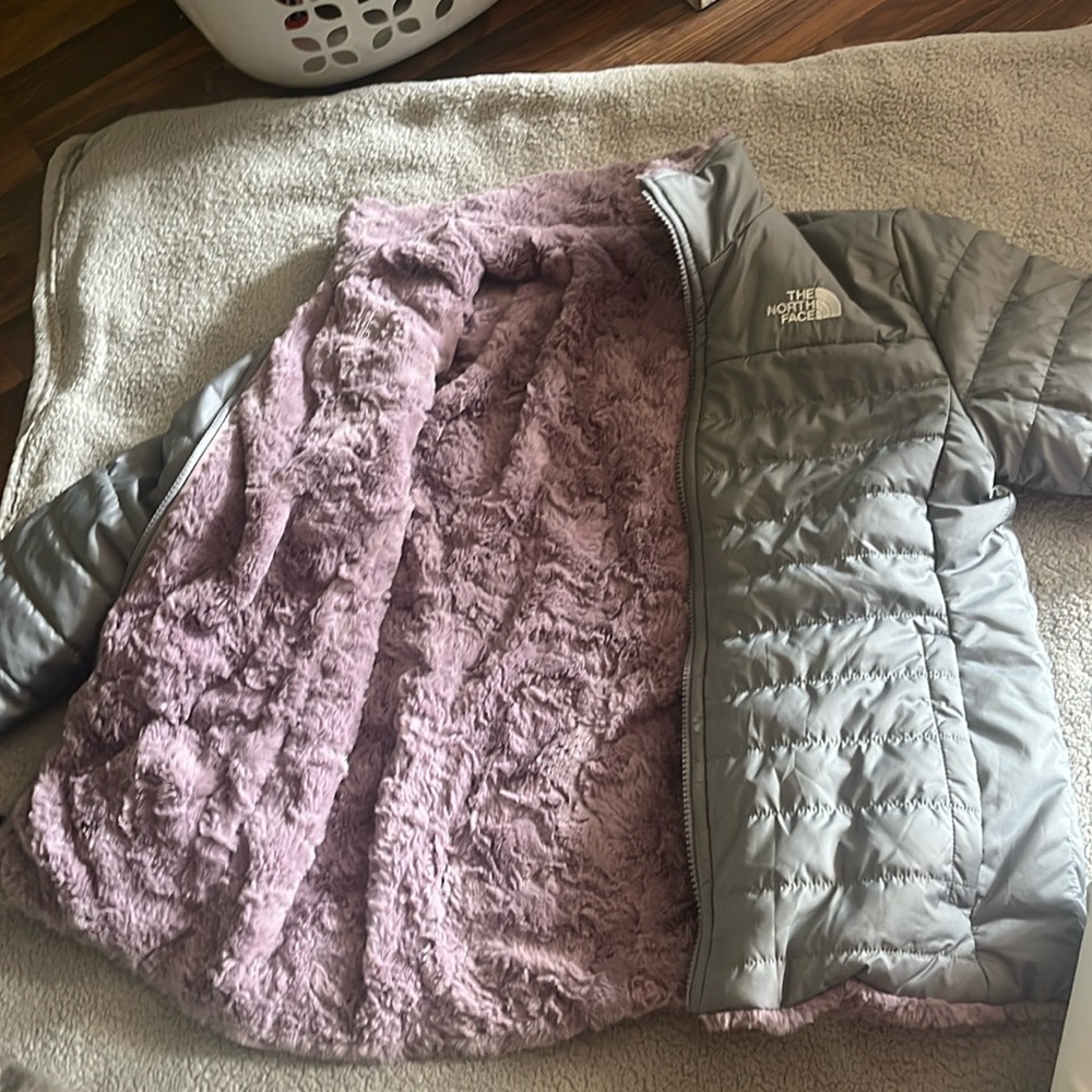 winter jacket